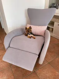 La reina 👑 de la casa en su TRONO 🐩