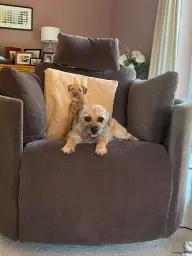 What do you mean, this is your chair?
