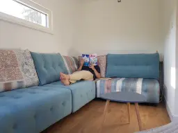 Une bonne BD et un bon canap...tout un art de vivre !