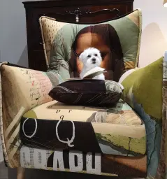 Pequeño, pero culto.