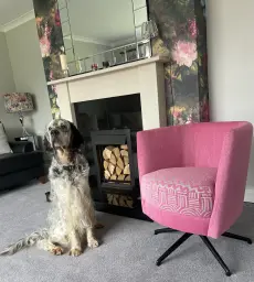 Parsnip’s new chair lol