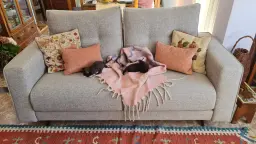 EL DESCANSO DE LOS EXPLORADORES