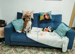 kira en su nuevo sofa