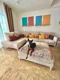 Roy, el rey de la casa