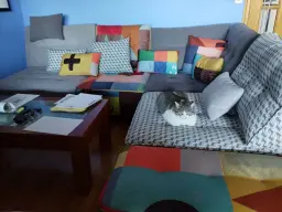 El descanso de la gata