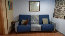 Disfrutando del nuevo sofa