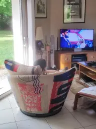 Le fauteuil Roxanne semble très apprécié