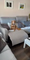 Aleh, tomando posesion