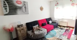 Guauu!! Mi dueña no puede despegarme 🐕