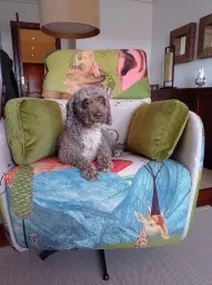 Arya en el jardín de las Delicias