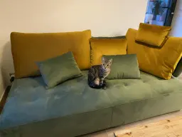 Même le chat adore !