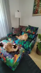 Ellos saben de confort.