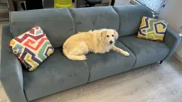 El sofá es miooo!! :)