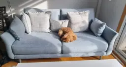 Lola la reina de sofá