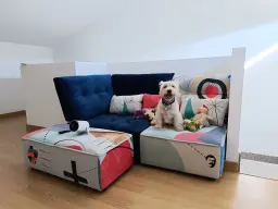 Listos para que empiece la película