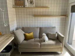 Tango feliz con su nuevo sofá