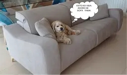 TRAS EN SU NUEVO SOFÁ FAMA