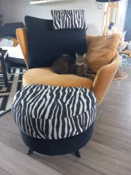 Le roi Tigrou sur son Fama