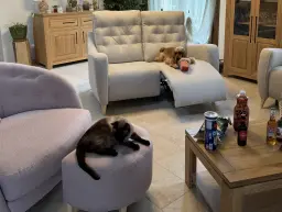 Super, Les proprios sont partis ! Vite à l’apéro !!🥳