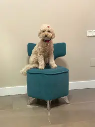 CHLOE EN EL VESTIDOR