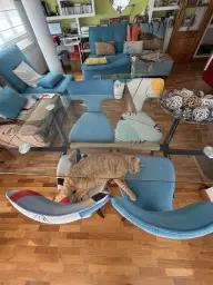 El descanso de el guerrero