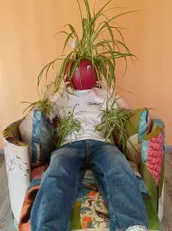 Camouflage au jardin des délices