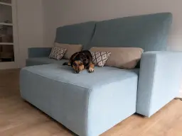 Frida en su sitio favorito