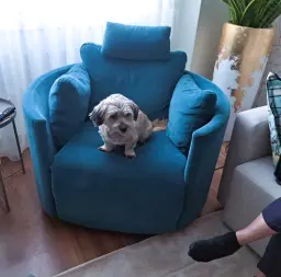 Controlando a la manada
