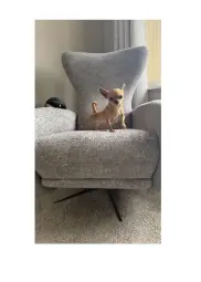 Ruby’s new chair
