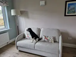 Ralphie our dog enjoying the view out the window from our new Fama sofa bed