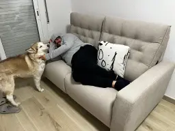 Papa, dejame subir al sofa
