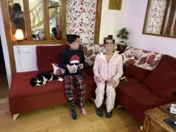 salon avec le chat