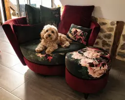Un moment au calme avec M’y nest
