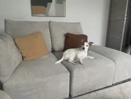 Nina’s life