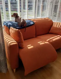 Comfort for ALL the family