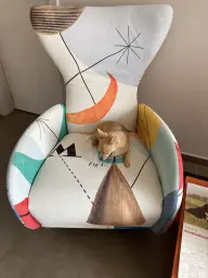 Fauteuil adopté par mon petit chien