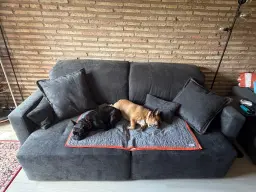 This Couch is Made for Napping