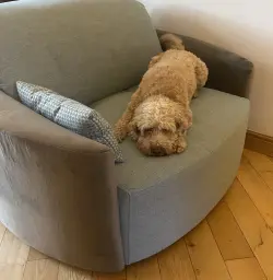 Rapha’s Rest