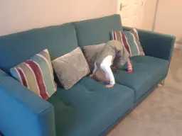 sofa gymnastics