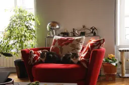 Qui en profite le plus ?