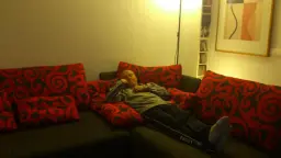 Oso durmiendo