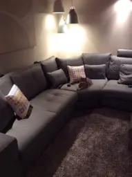 The cat owns the new couch.