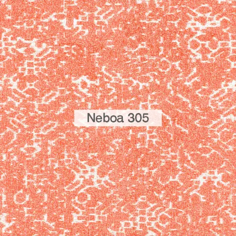 Neboa 2022 305