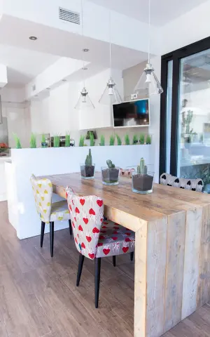 ginger fred silla 2022 baja 01