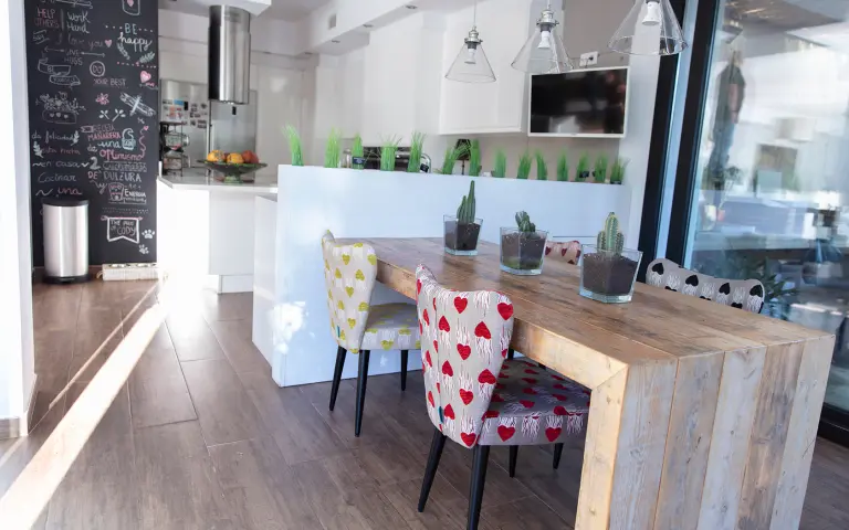 ginger fred silla 2022 baja 02