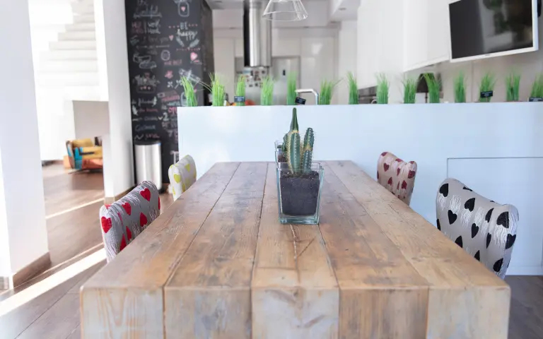 ginger fred silla 2022 baja 03