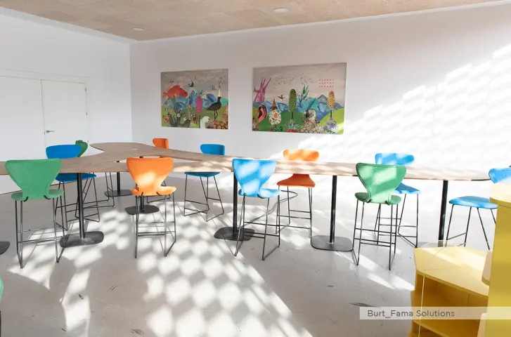 Proyectos-interiorismo-burt-03