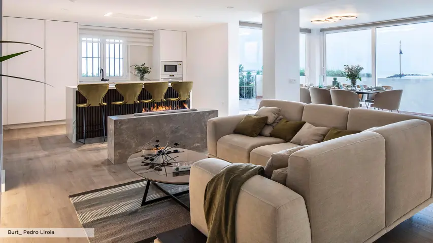 Burt | Proyectos Pedro Lirola 01