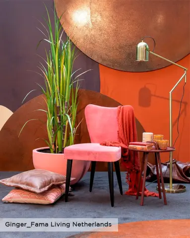 Ginger silla Fama Living Netherlands 1