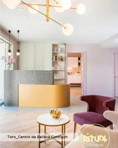 Toro silla Centro de belleza Contigoh